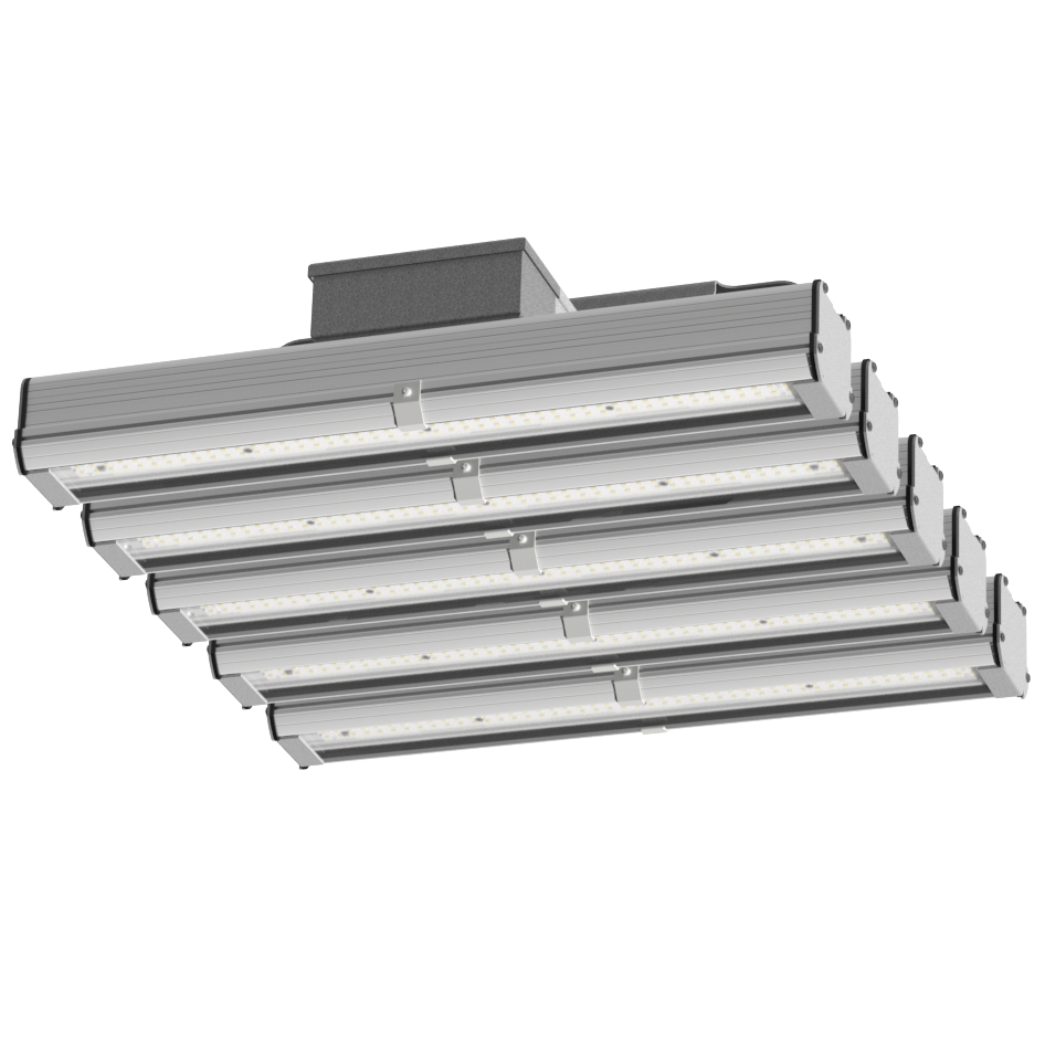 MODULO 5 GILBERT 500