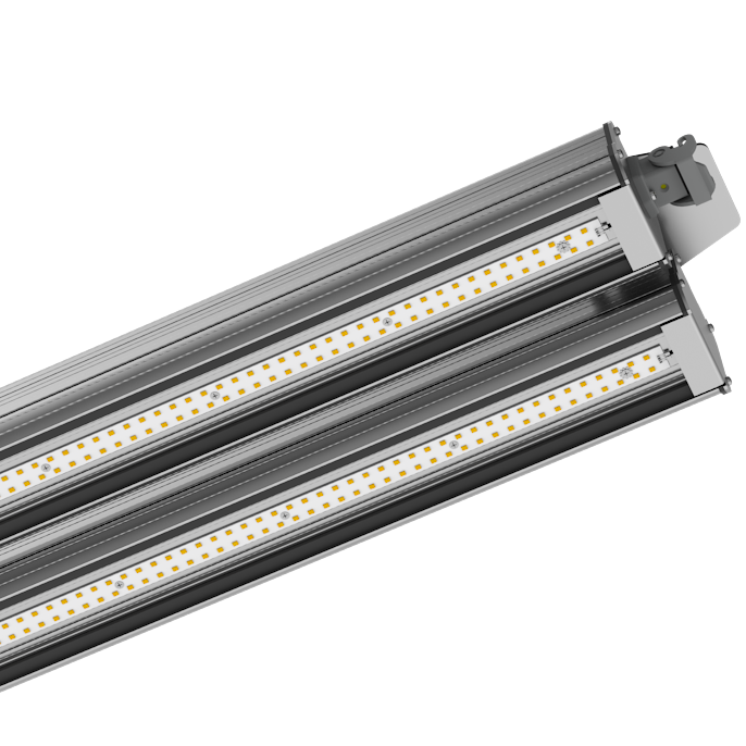 MODULO 2 GILBERT 1000